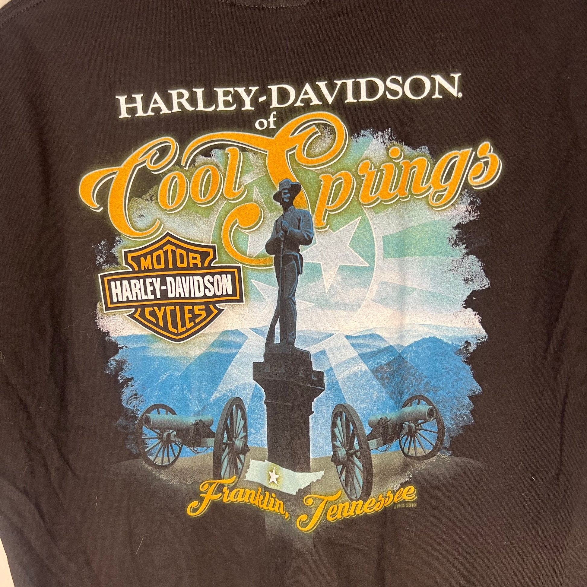 Detailed view of back graphic featuring monument, cannons, and Harley-Davidson logo