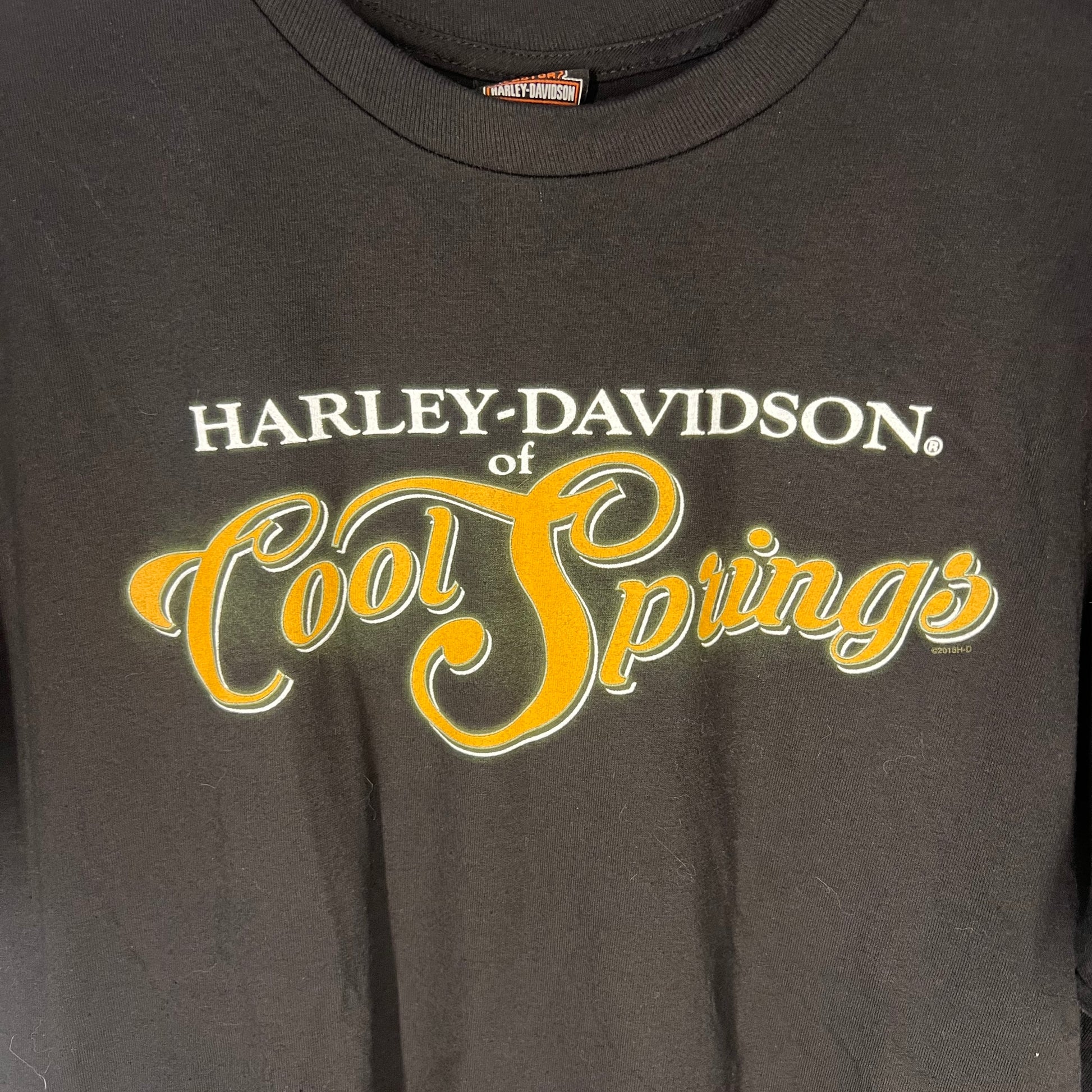Close-up of Cool Springs chest graphic with orange script and date