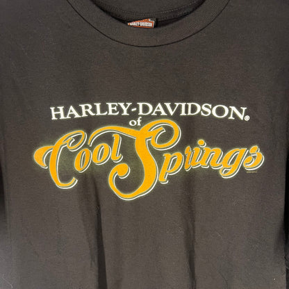 Close-up of Cool Springs chest graphic with orange script and date