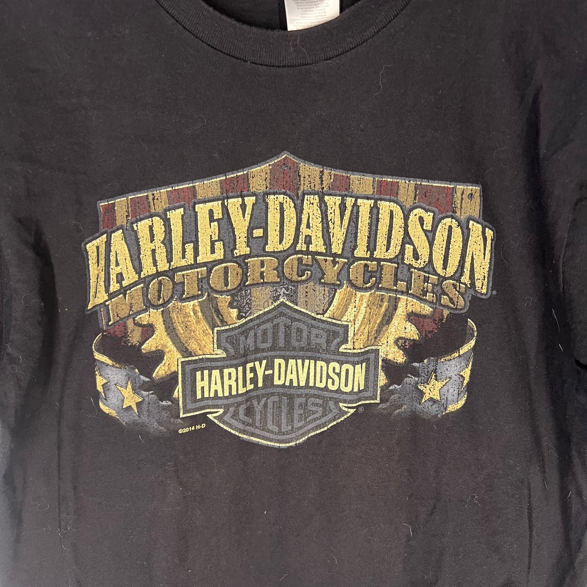 Close-up of distressed Harley-Davidson logo and stars & stripes graphic